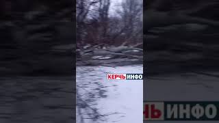 Огромный тополь упал в Керчи: часть домов осталась без света