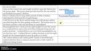 Types of Evolution worksheet Georgia Milestones Biology