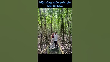 Một vòng vườn quốc gia Mũi Cà Mau