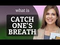 Catch ones breath  catch ones breath meaning