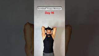 Day 16 beginner home workout series #workout #homeworkout #beginners #triceps #tricepsworkout