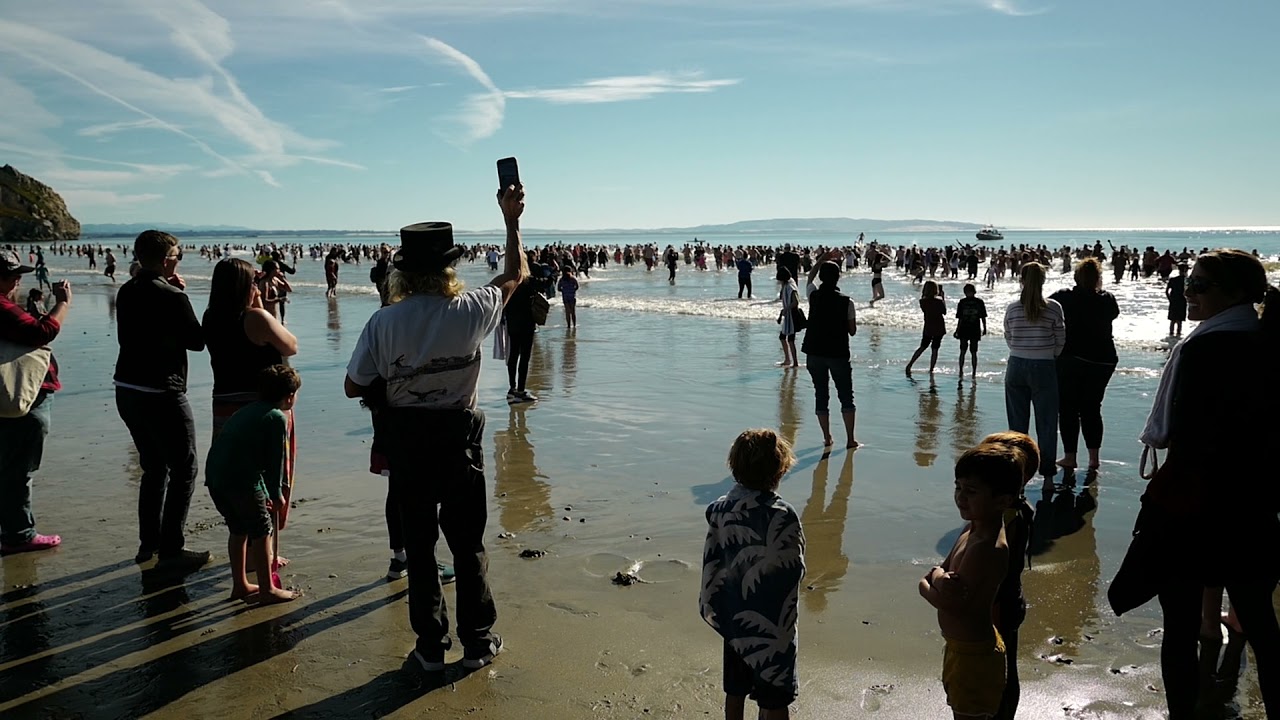 Avila Beach Polar Plunge 2022 YouTube