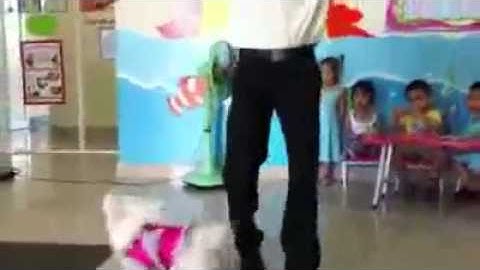 Xiếc chó,dịch vụ xiếc , cung cấp xiếc thú,xiếc khỉ, xiếc trăn  0914885886 HÓTclip vui hay nhất 201