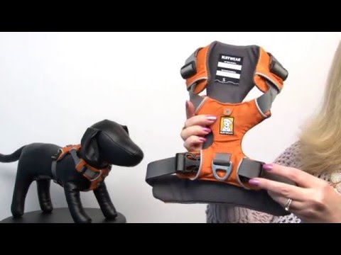 Front Range Dog Harness by RuffWear - Campfire Orange