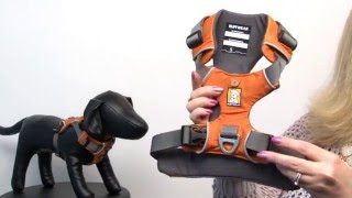 Front Range Dog Harness by RuffWear - Campfire Orange