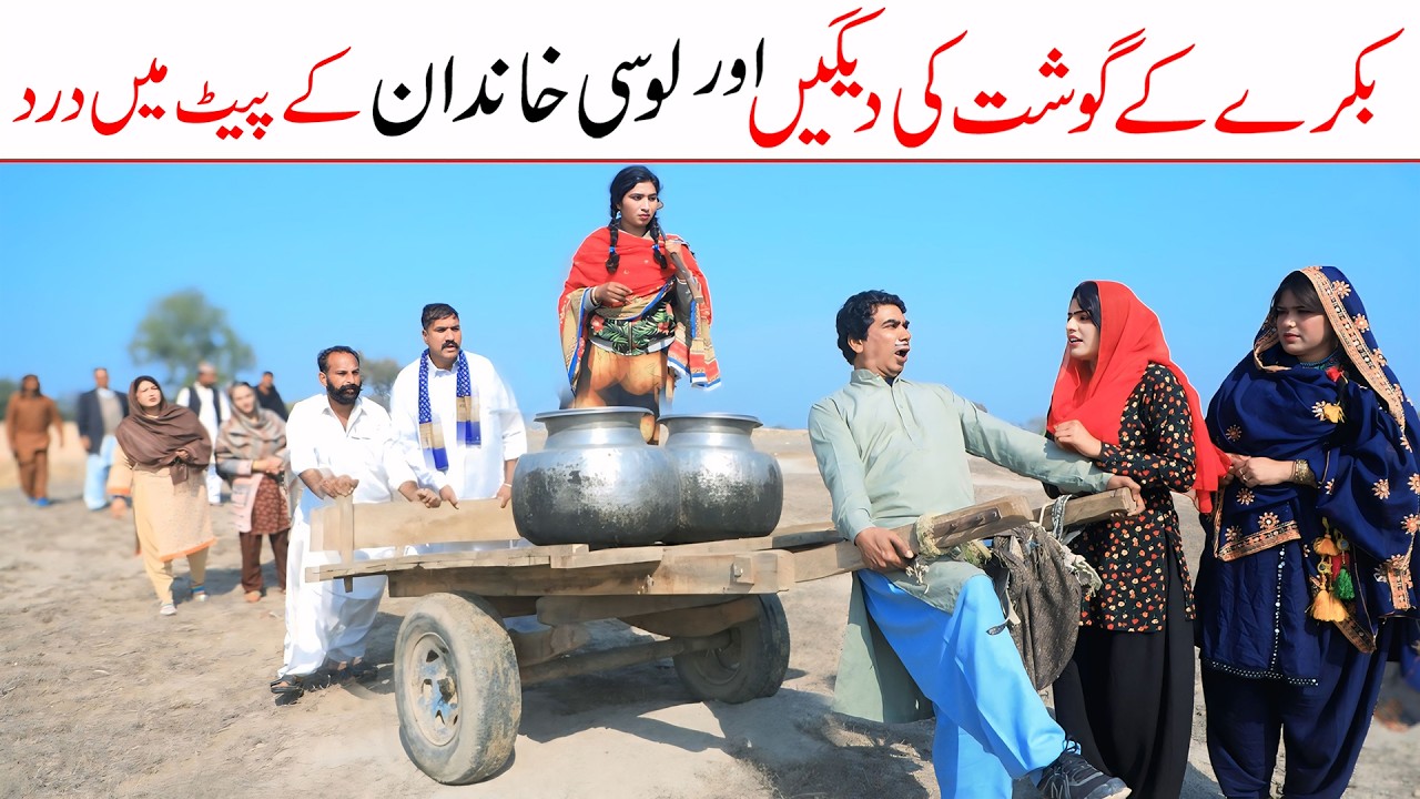 Funny 2026 | Ramzi,Noori, Bilo,Shoki, Sanam, Falak Sher,Funny Video  Rachnavi Tv