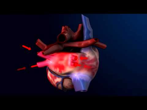 How the Heart Pumps Blood - 3D Heart Animation || ABP ©