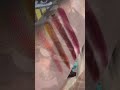 SWATCHES of NEW Melt Cosmetics x Bailey Sarian FATALLY YOURS Collection #shorts