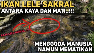 SUNGAI LELE SAKRAL DI DESA BITING PONOROGO TARUHAN NYAWA BILA MEMGAMBIL
