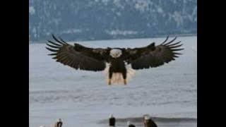 El Condor Pasa - George Zamfir