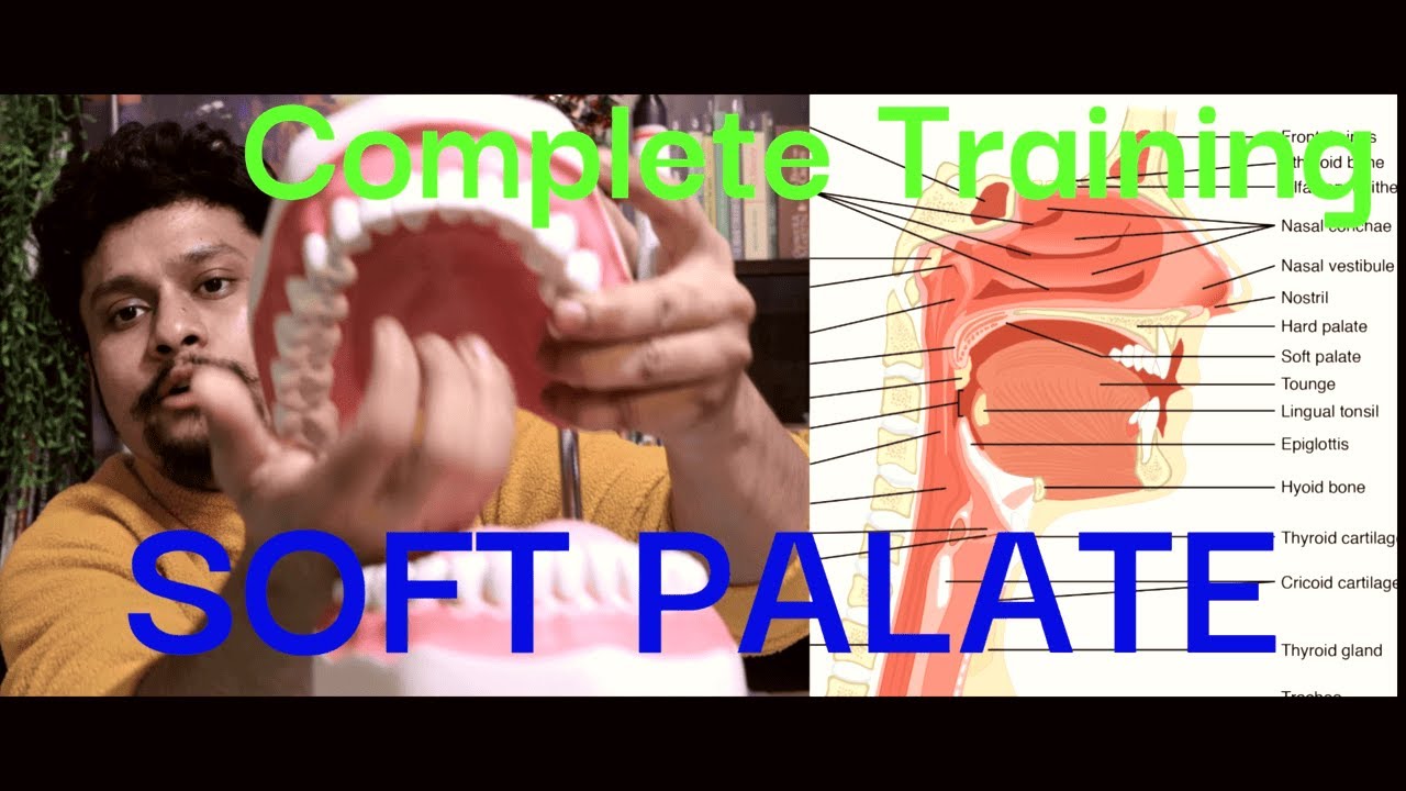 Complete SOFT PALATE Training : Accent Correction