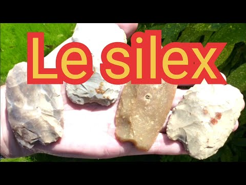 Vidéo: De quoi est fait le silex ?