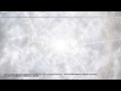 【DFFNT】多分ポイント自己ベストのやつ【ヴァン ダイヤ】