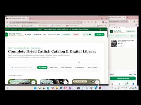 Demo | I created A Website And APP With AI | HNG 15 Internship