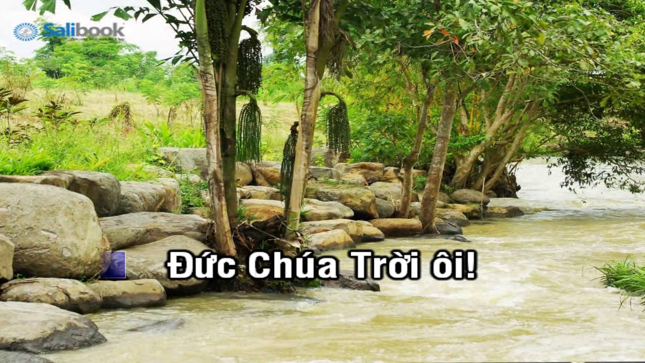 [Karaoke TVCHH] 113- BÀI CA ĂN NĂN - Salibook