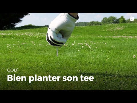 Apprendre à bien planter son tee | Golf