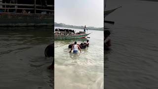 Cow Unloding ,Cow videos, Cow shorts ,Cow video ✅ Ep-(16) #shorts