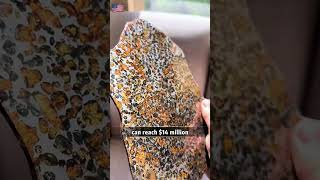 This Rock Could Change Your Life 👀#RockTok #NatureWonders #CollectorLife #InterestingThings