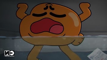 Stung By A Wasp - Darwin Watterson - Official Music Video