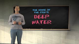The Classroom Basic movements of the fish #1