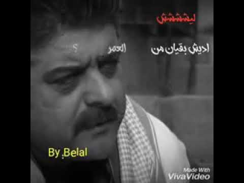 حالات وتس اب ورابط باب الهوا ورابط باب السلام وباب السلام والرابط بل وصف تلاقي