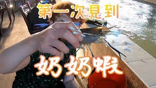 [VLOG]美食&amp;釣蝦的沙漠?-苗栗新岳輝釣蝦場