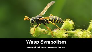 Wasp Symbolism