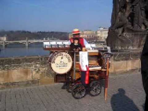 Prague Musician on Bridge