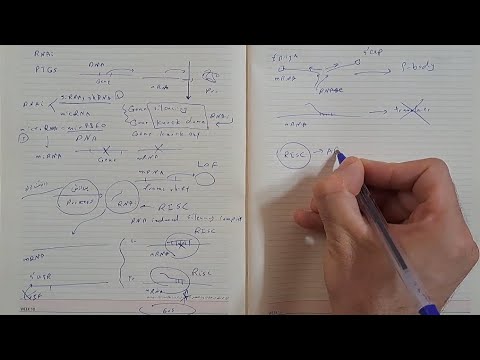 ژنتیک مولکولی  های مداخله گر   