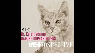 Raising Orphan Kittens