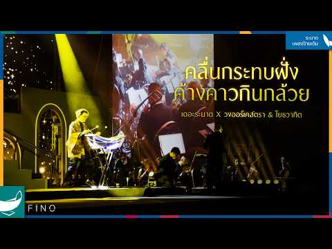 "คลื่นกระทบฝั่ง - ค้างคาวกินกล้วย" | ระนาดเอก X วงออเคสตรา & โยธวาทิต | Fino the Ranad