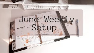 June Weekly Setup 7th-13th | Cloth and Paper | ft. Mama Gloria Stickers!