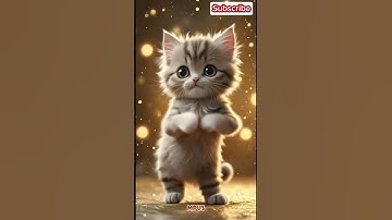 Cute cat dance apt rose bruno mars #cat #dance #apt #tranding