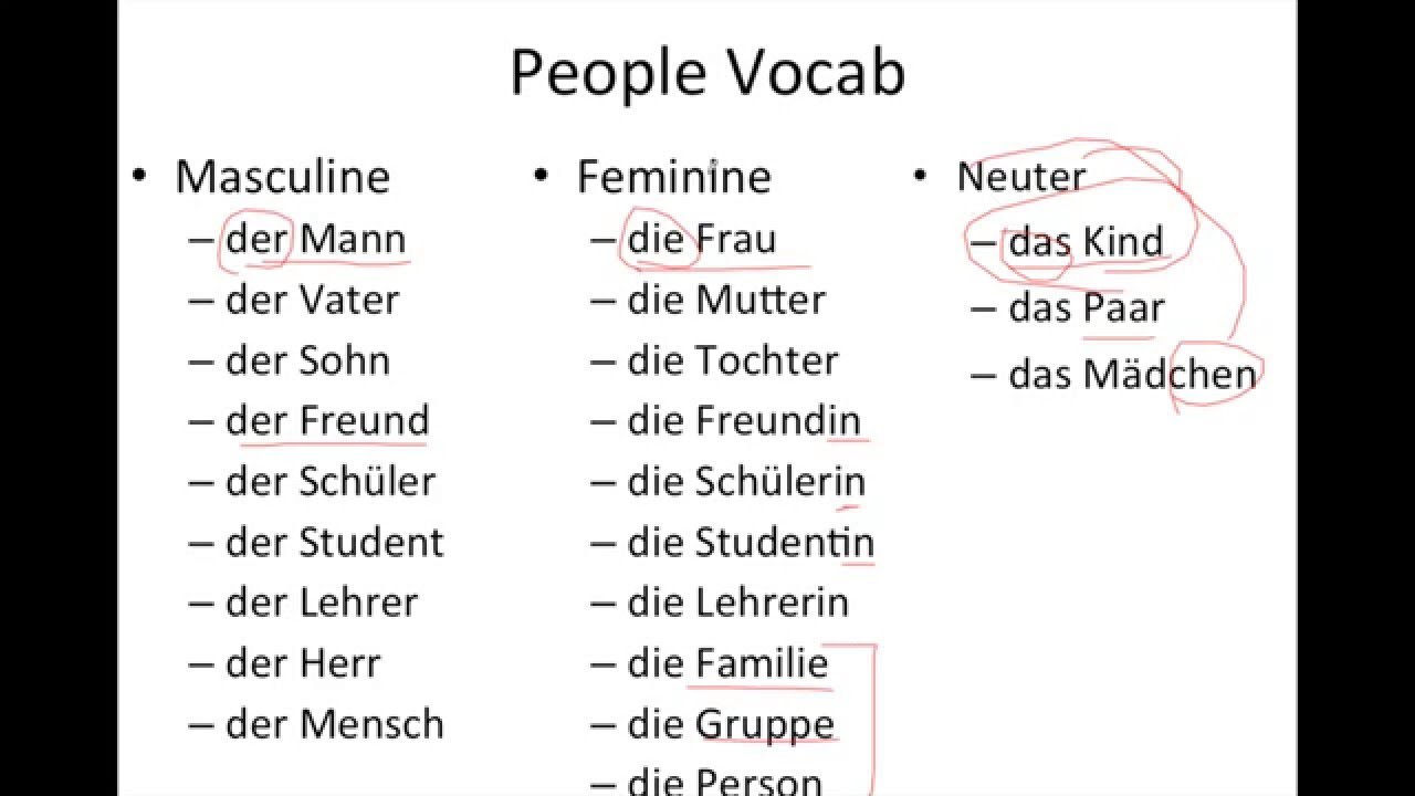 easy-german-grammar-nouns-genders-and-articles-youtube