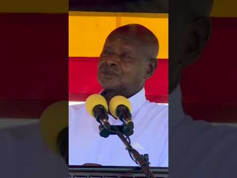 We Have The Potential Short 