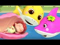 Baby Shark doo doo doo | kids cartoon | Nursery rhymes & Kids songs | Jugnu Kids Cartoon