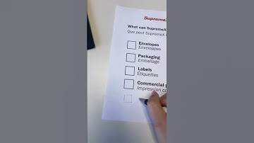 SupremeX - Our divisions // Nos divisions