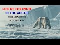 Life of the Inuit in the Arctic | ASMR Survival, Whale & Seal Hunting in the Frozen Sea