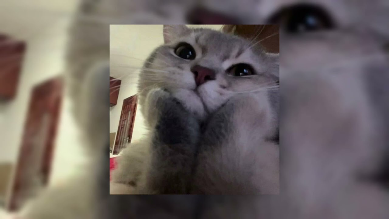 GERA AMEN - СОЛНЦЕ ВСТАЛО (slowed)