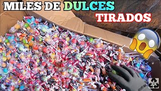 Las tiendas millonarias tiran miles de dulces DUMPSTER DIVING🇺🇸🇲🇽 #dumpsterdiving#loquetiranenUSA