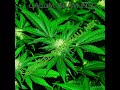 420 dancehall mix 2022  weed smokers anthems  420 weed chunes  420 dancehall mix 2022