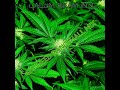 420 Dancehall Mix 2022 / Weed Smokers Anthems | 420 Weed Chunes / 420 Dancehall Mix 2022