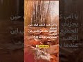 يا أمي كنت اذهب اليك حين يحزنني الجميع لكنك لم تخبرني اين اذهب عندما تحزنني انت امي 