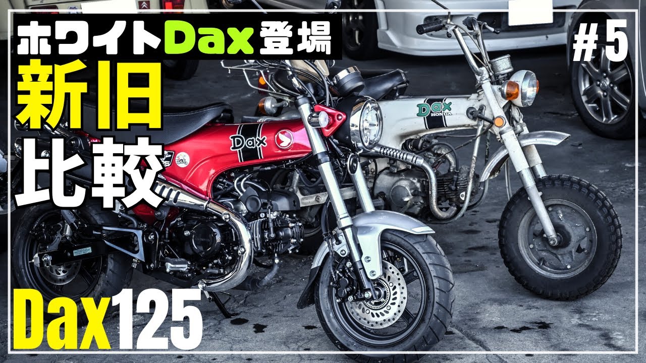 デザインへの拘りが凄い！新型ダックスST125とホワイトダックスの新旧