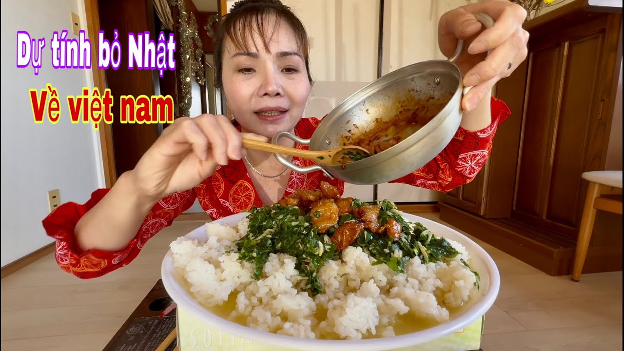 Dự tính dẫn chồng Nhật về việt nam bỏ Nhật hai vợ chồng ôm nhau khóc khi nghe chồng nói