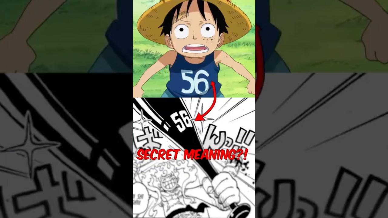 Hidden Meaning Behind The 56 On Luffy