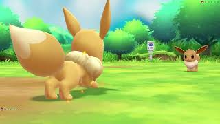 How To Beat The Eevee Master Trainer In Pokémon Lets Go Eevee