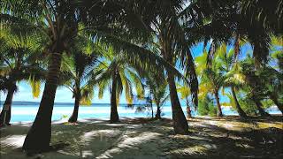 Tropical Paradise Beach - Relaxation And Nature - Spiaggia Tropicale Paradisiaca - Relax E Natura