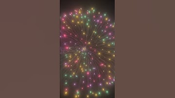 10" Inch 3D Peony Ring w/Tail #YungFeng Display Shells #Disco Shells #10" 寸 3D 牡丹环升尾