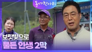 보랏빛으로 물든 인생 2막 [동네 한 바퀴] | KBS 240511 방송